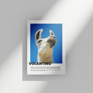 Volantini disponibili in vari formati e quantitativi | SISTAMPA